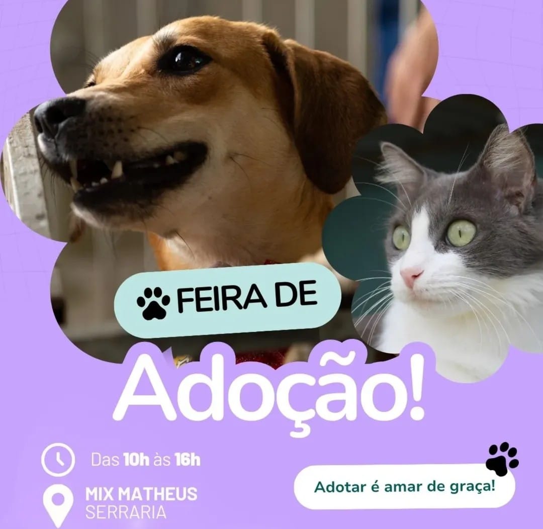 Feira de adoção de pets acontece nesta sexta-feira (20) em Maceió