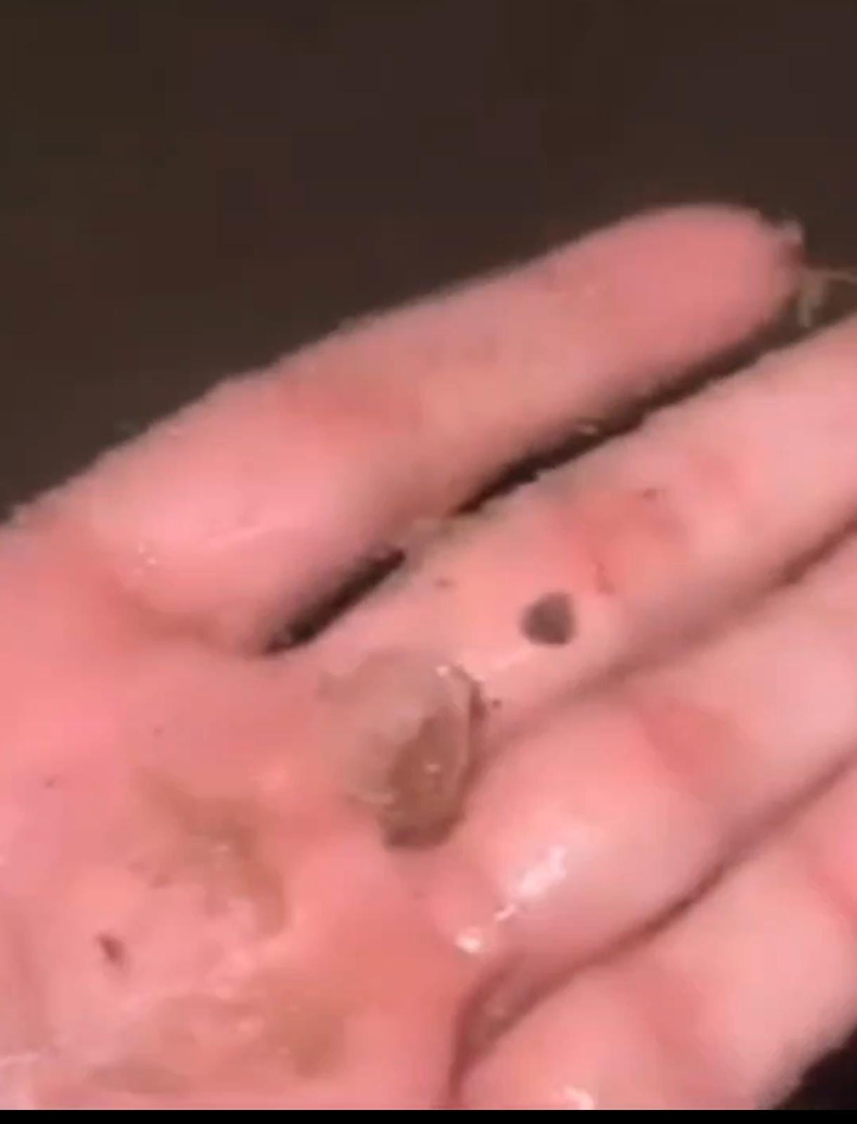 VÍDEO: Moradores do interior de Alagoas registram chuva de granizo