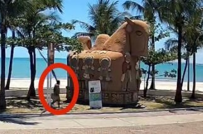 Imagens mostram suspeito de incendiar escultura “O Boi” no Jaraguá