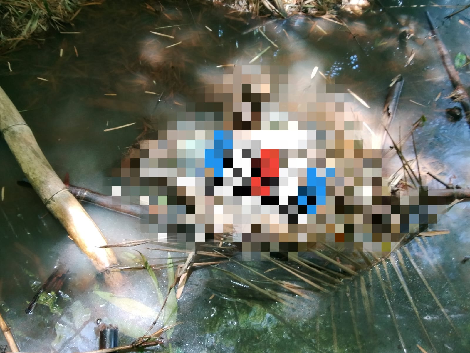 Corpo de homem é encontrado em área de mata em Flexeiras