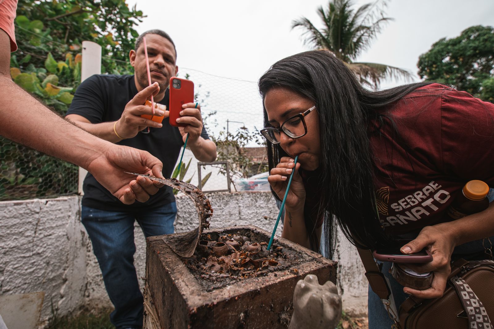 Iniciativa impulsiona roteiros turísticos no interior de Alagoas