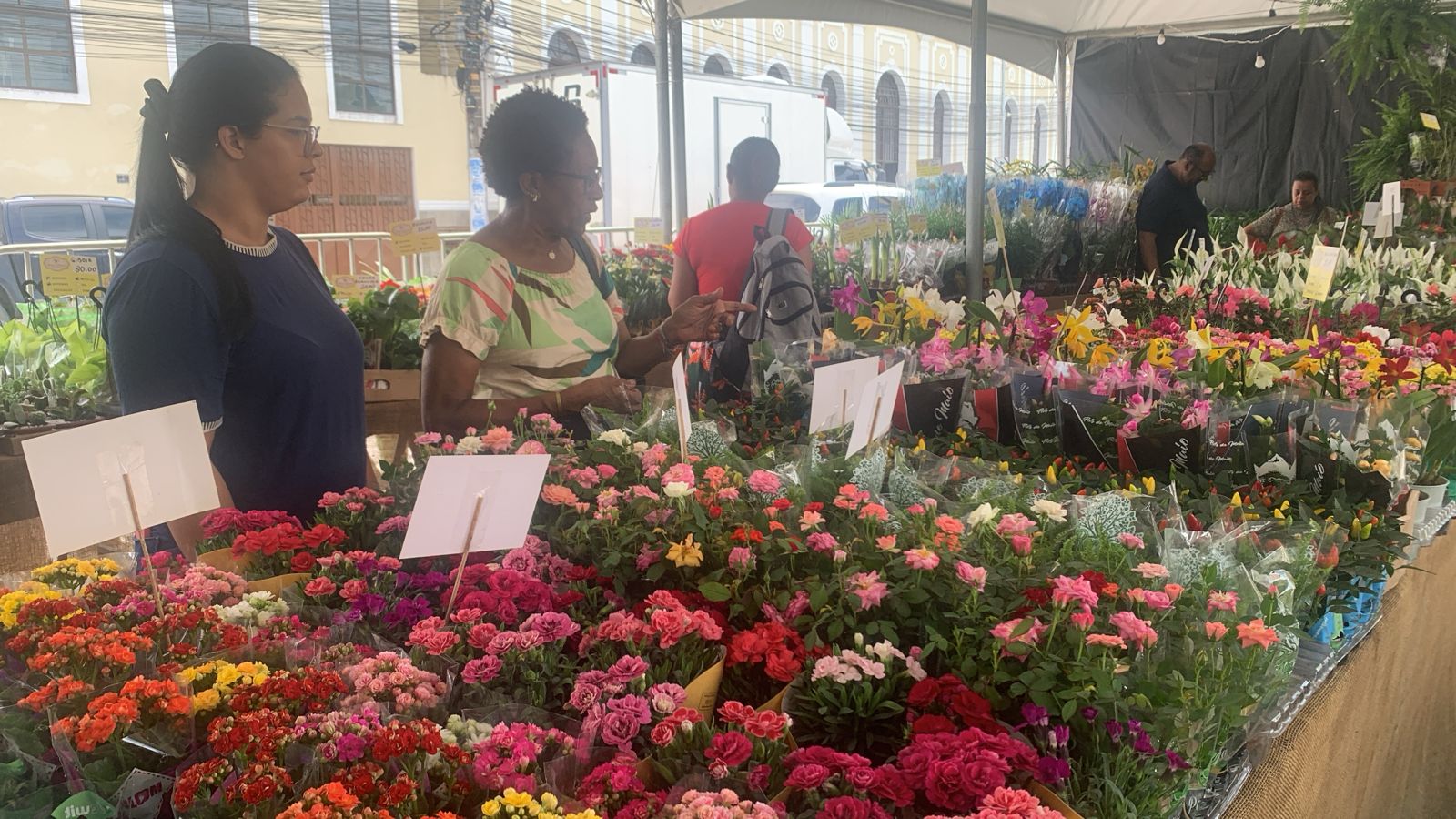 Feira de Flores de Holambra chega a Maceió com catálogo diversificado