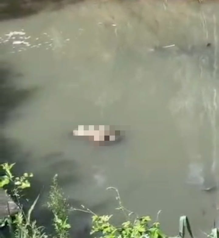 Corpo sem identificação é encontrado boiando em córrego de Maceió