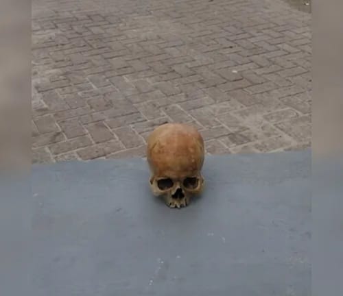 Crânio humano é localizado na Ponta Verde, em Maceió