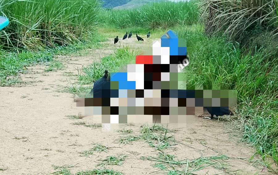 Corpo em estado de decomposição é encontrado na zona rural de Matriz