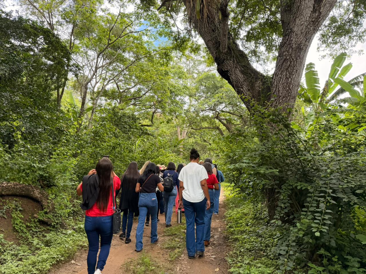 Produtoras rurais de Alagoas participam de imersão em turismo de experiência e agregação de valor no campo