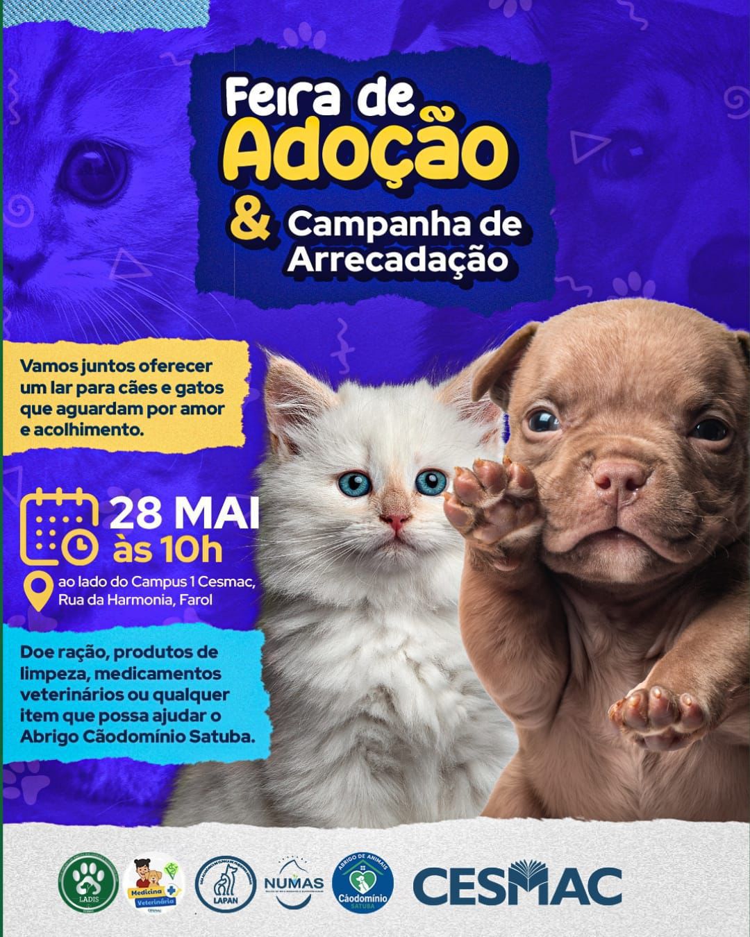 Feira de Adoção do CESMAC busca novos lares para animais resgatados