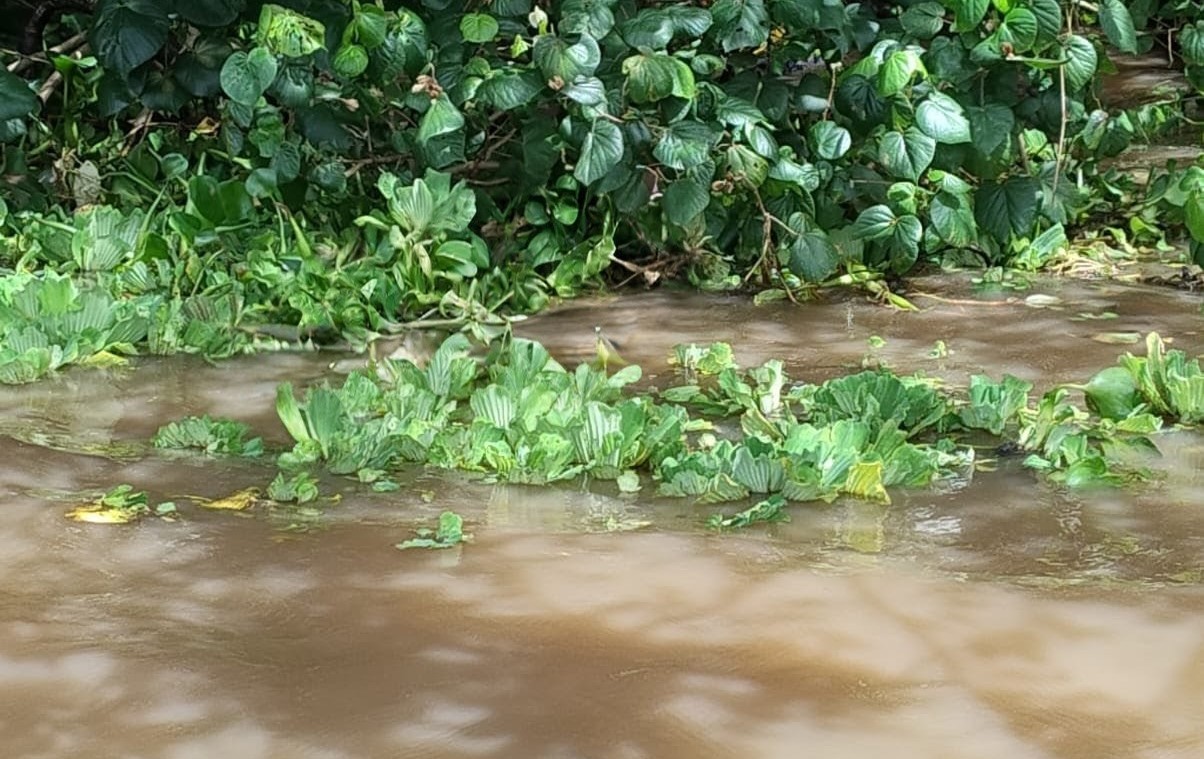 Corpo de pescador é encontrado boiando na Lagoa Mundaú