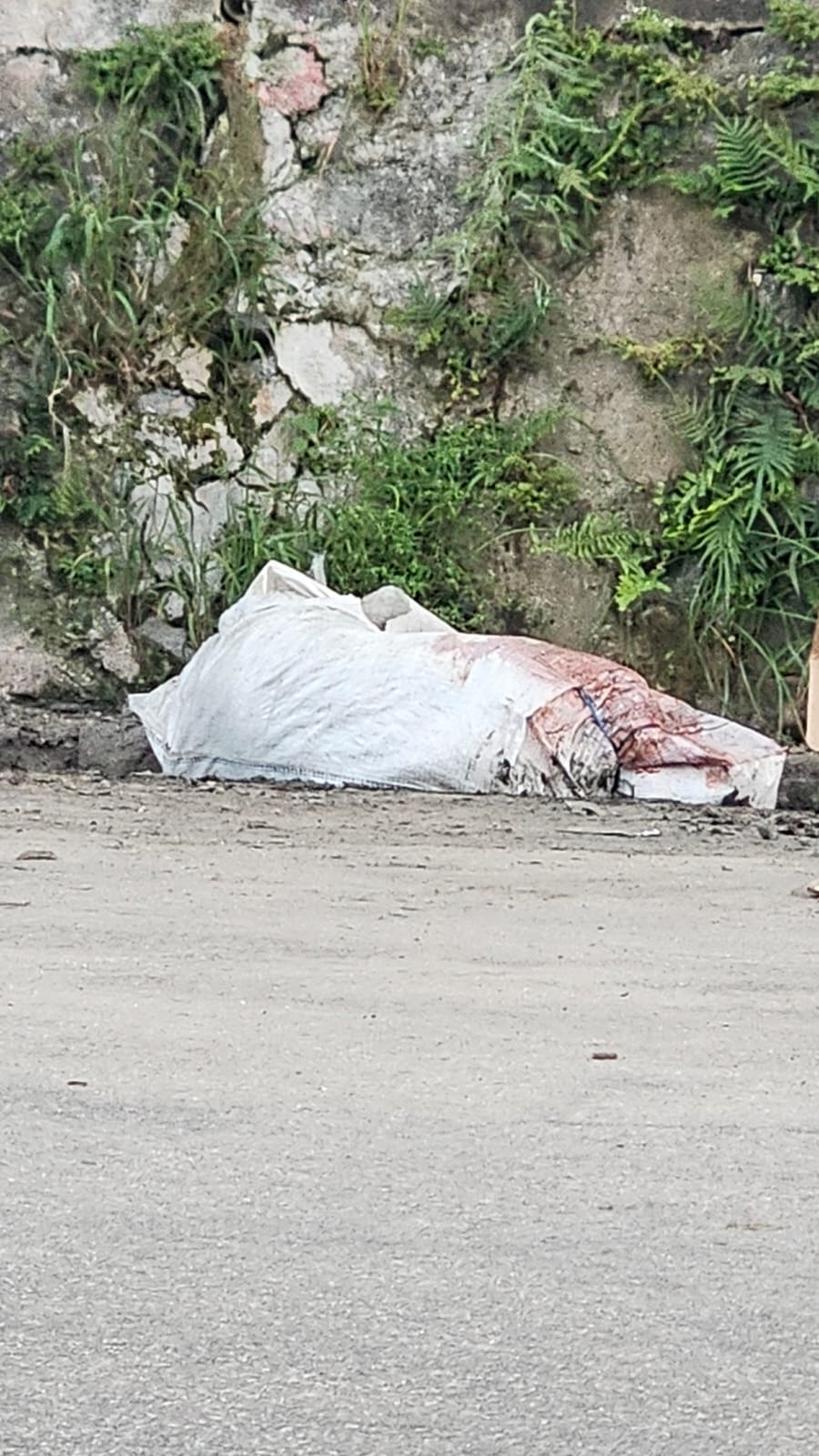Corpo esquartejado é encontrado dentro de saco na Ladeira do Óleo, em Maceió