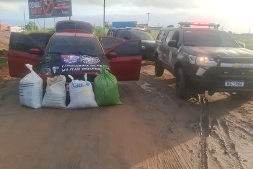 PM apreende 35 kg de maconha em carro que seguia para Marechal Deodoro