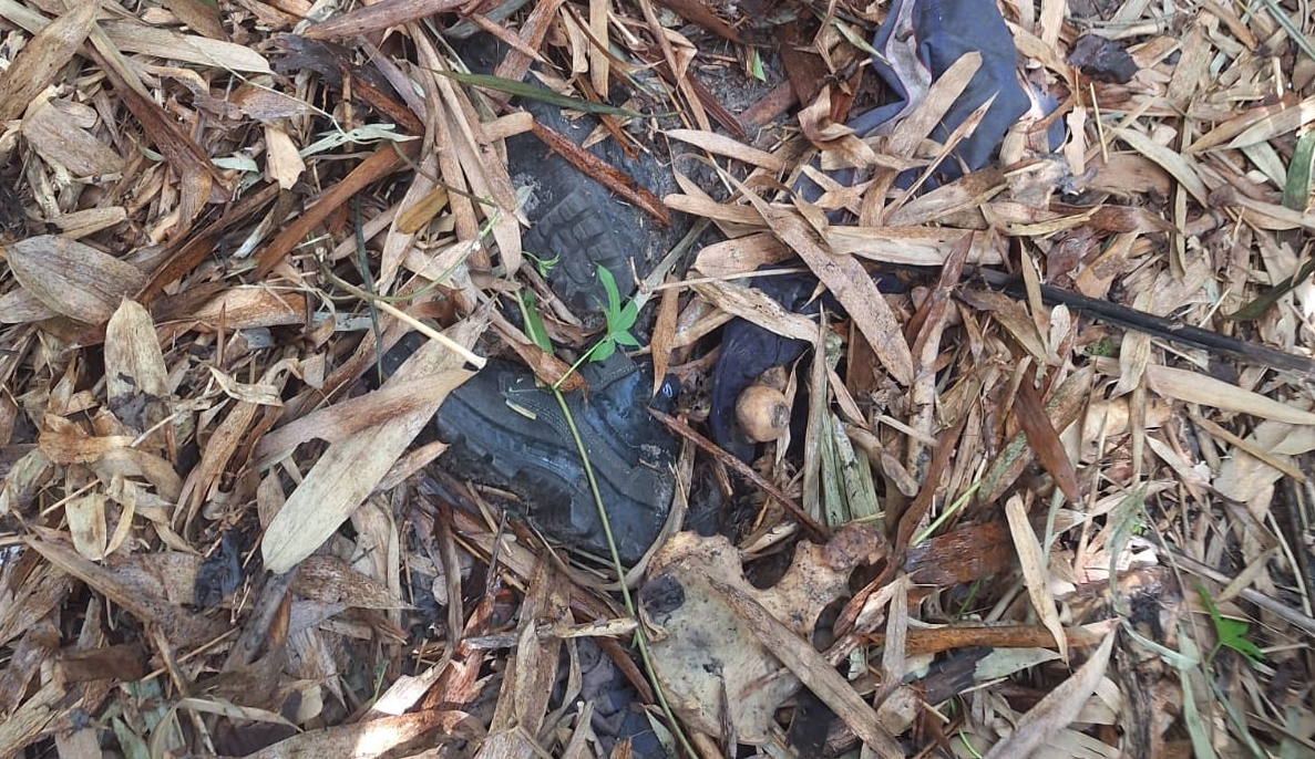 Ossada humana é encontrada em área de mata às margens da BR-101 em Pilar