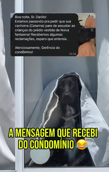 Cachorra vira ‘noiva fantasma’ e assusta crianças em condomínio