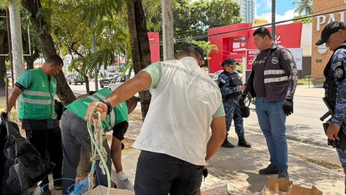 Semsc retira construções irregulares de espaços públicos em Maceió