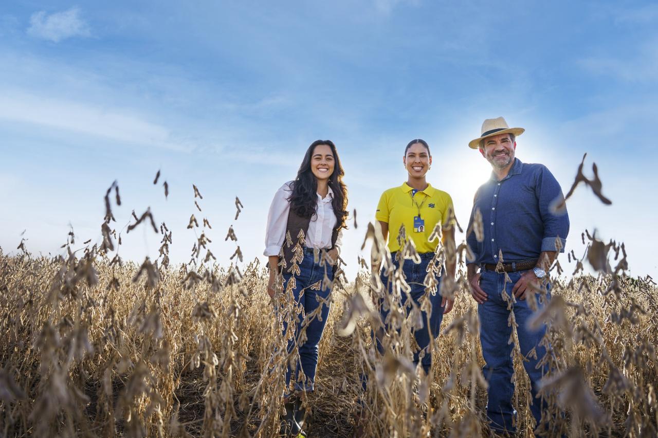Banco do Brasil apoia cooperativas alagoanas do agro na renegociação de dívidas
