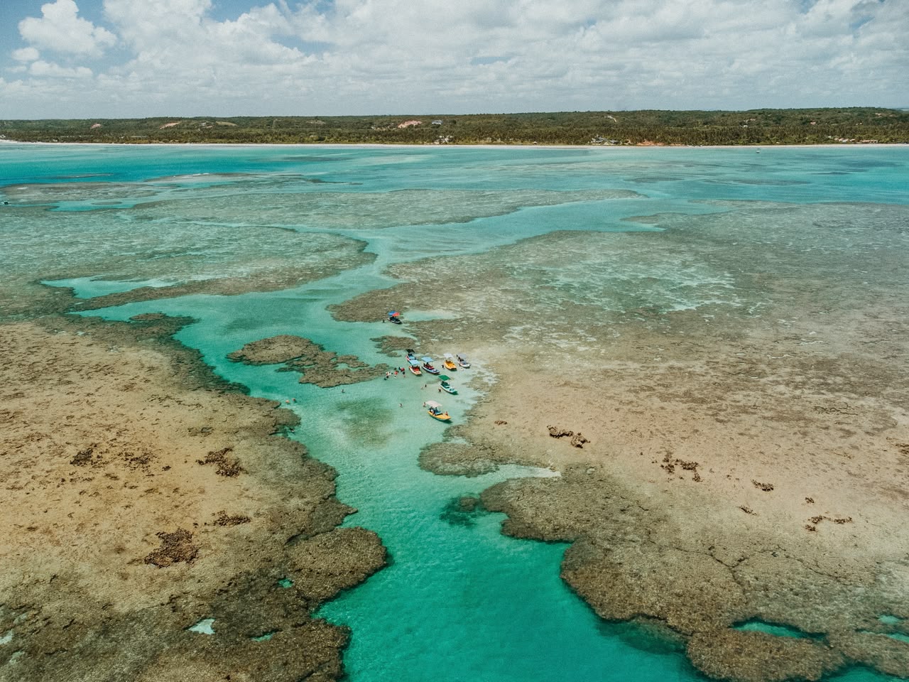 Bandeira Azul: Praia da Lage, em AL, conquista reconhecimento internacional