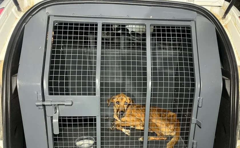 Mulher é presa suspeita de maus-tratos contra cachorro em Rio Largo