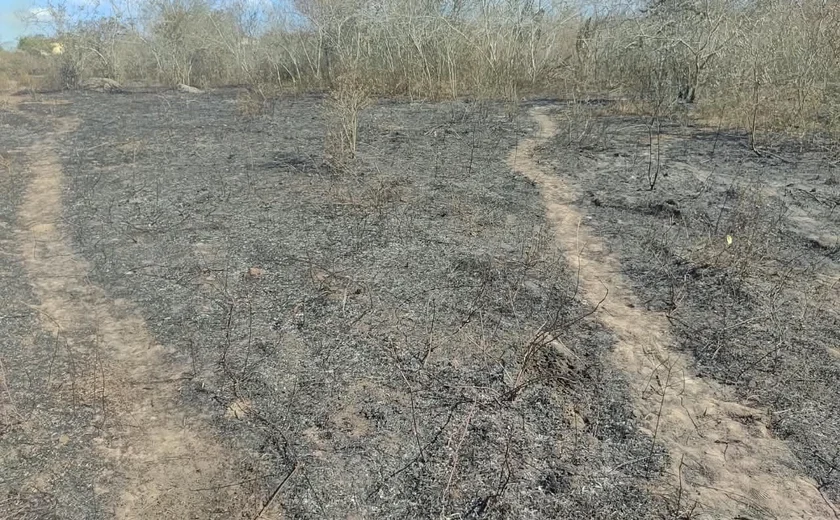 Incêndio é registrado na área da aldeia Kariri-Xocó, em Alagoas