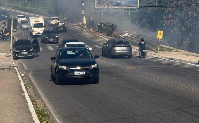 Incêndio em vegetação mobiliza bombeiros na Avenida Rotary