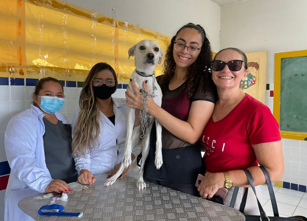 Prefeitura de Arapiraca realiza mutirão de castração de animais no bairro Baixa Grande