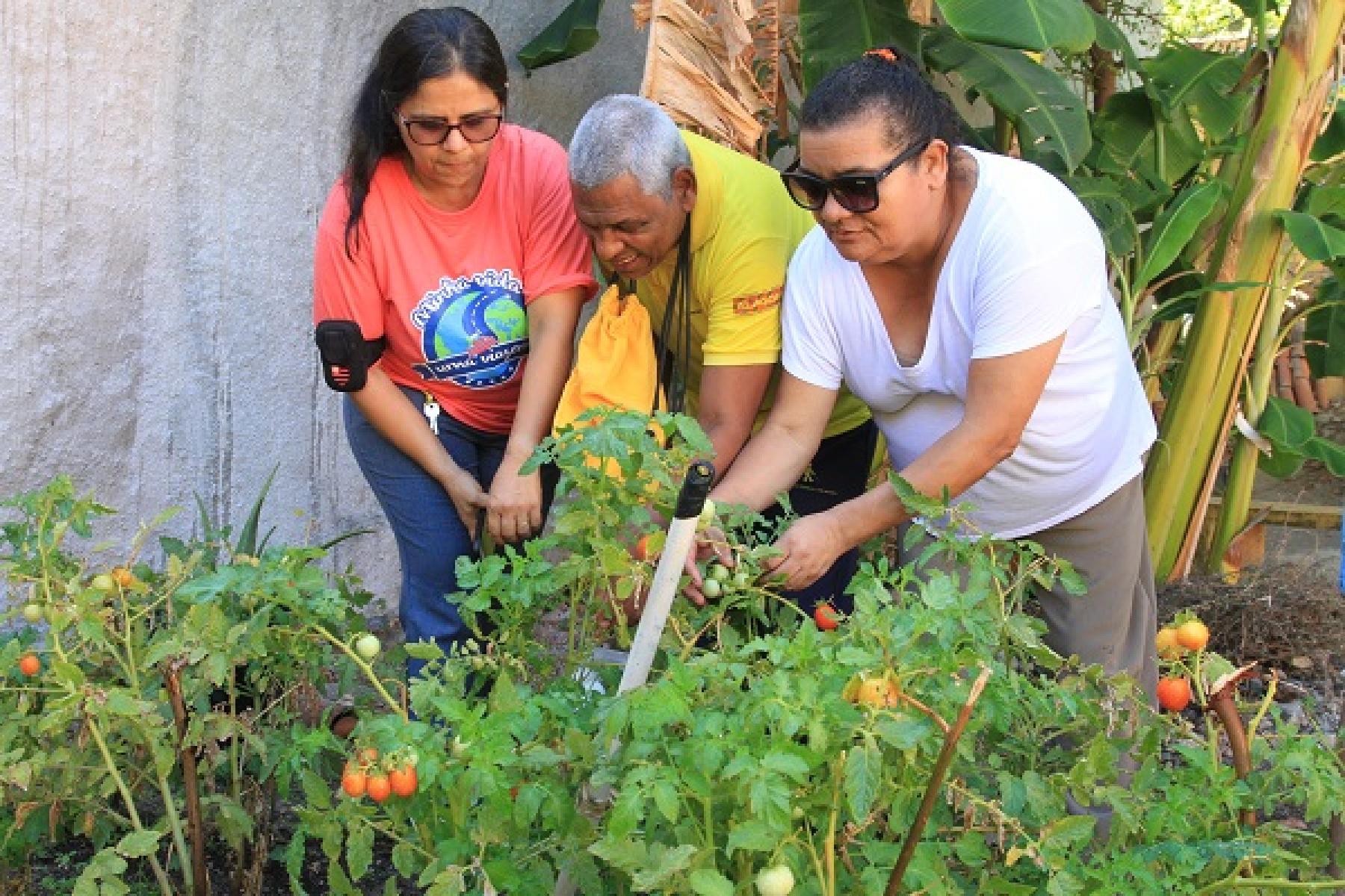 XXIV Semana Estadual da Pessoa com Deficiência terá programação focada em educação inclusiva
